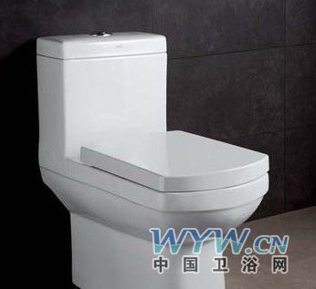 方正简约 金牌卫浴座便器rf2110- 便器,卫浴 -卫浴产品导购-中国卫浴网